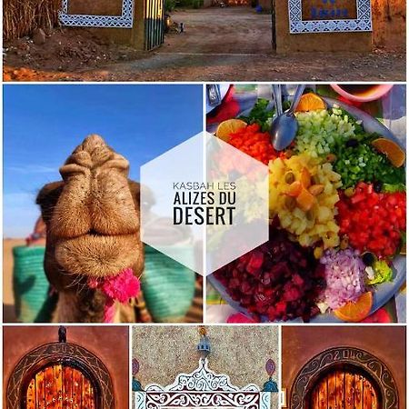 Kasbah Les Alizes Du Desert M'Hamid Exterior foto