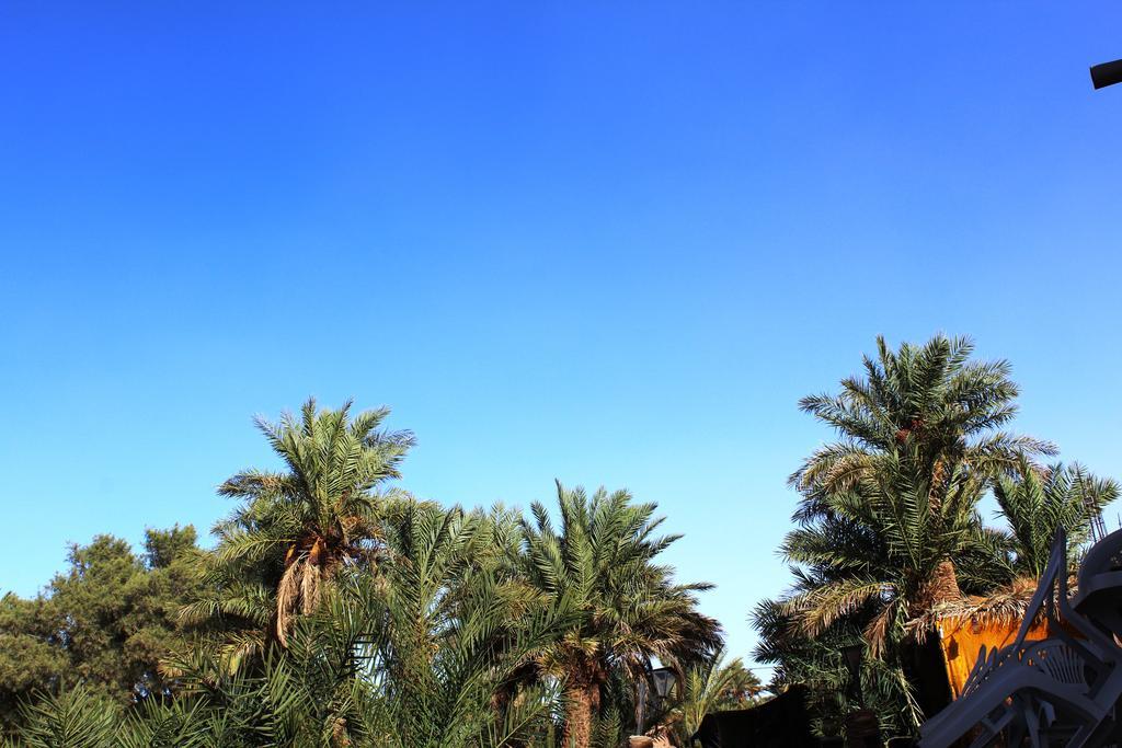 Kasbah Les Alizes Du Desert M'Hamid Exterior foto